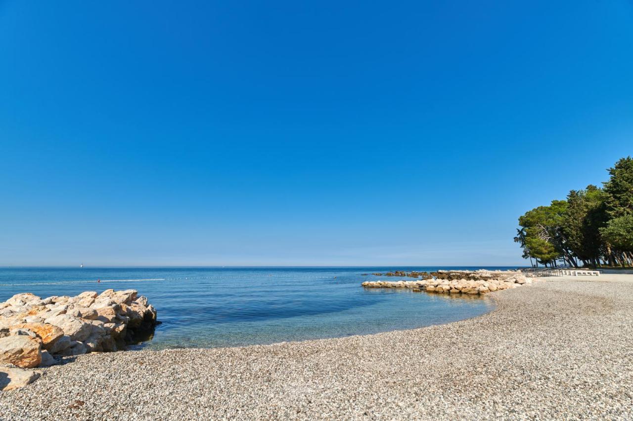 Istrian Plava Laguna *